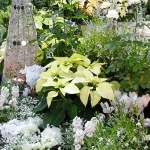 植物園3(2).jpg