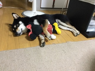 image1.jpeg